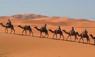 Merzouga desert camel riding