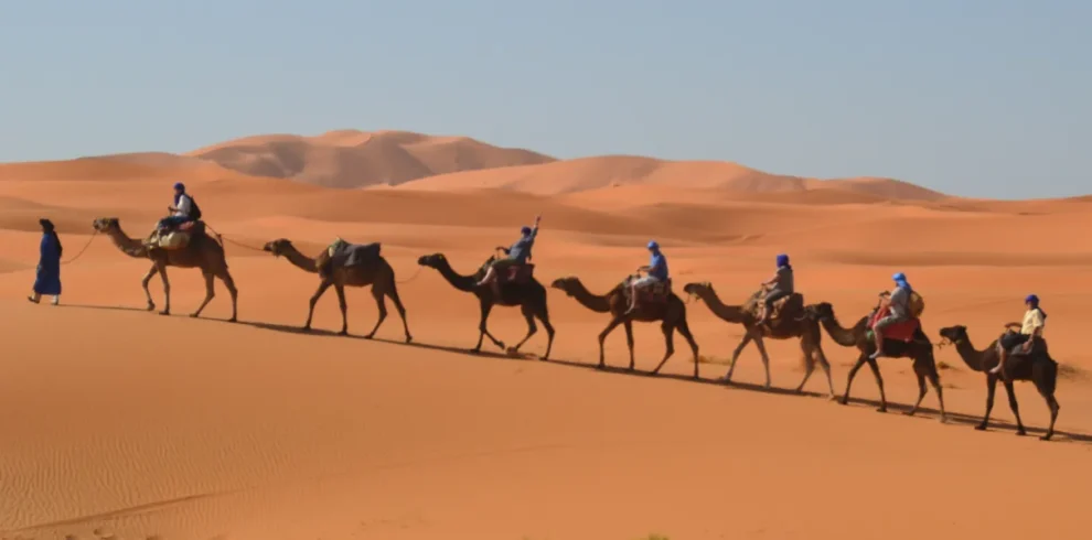 Merzouga desert camel riding