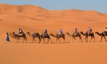 Chegaga Desert Camel riding