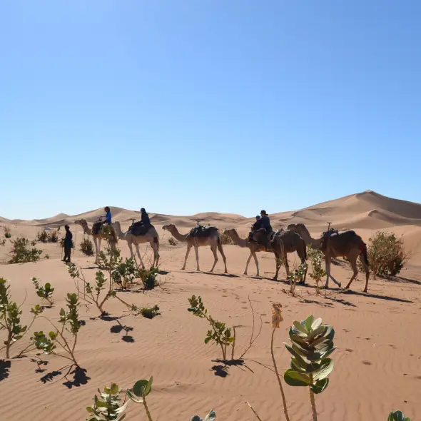 Explore Morocco Desert Tours