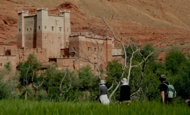 valley of roses Morocco Trekking